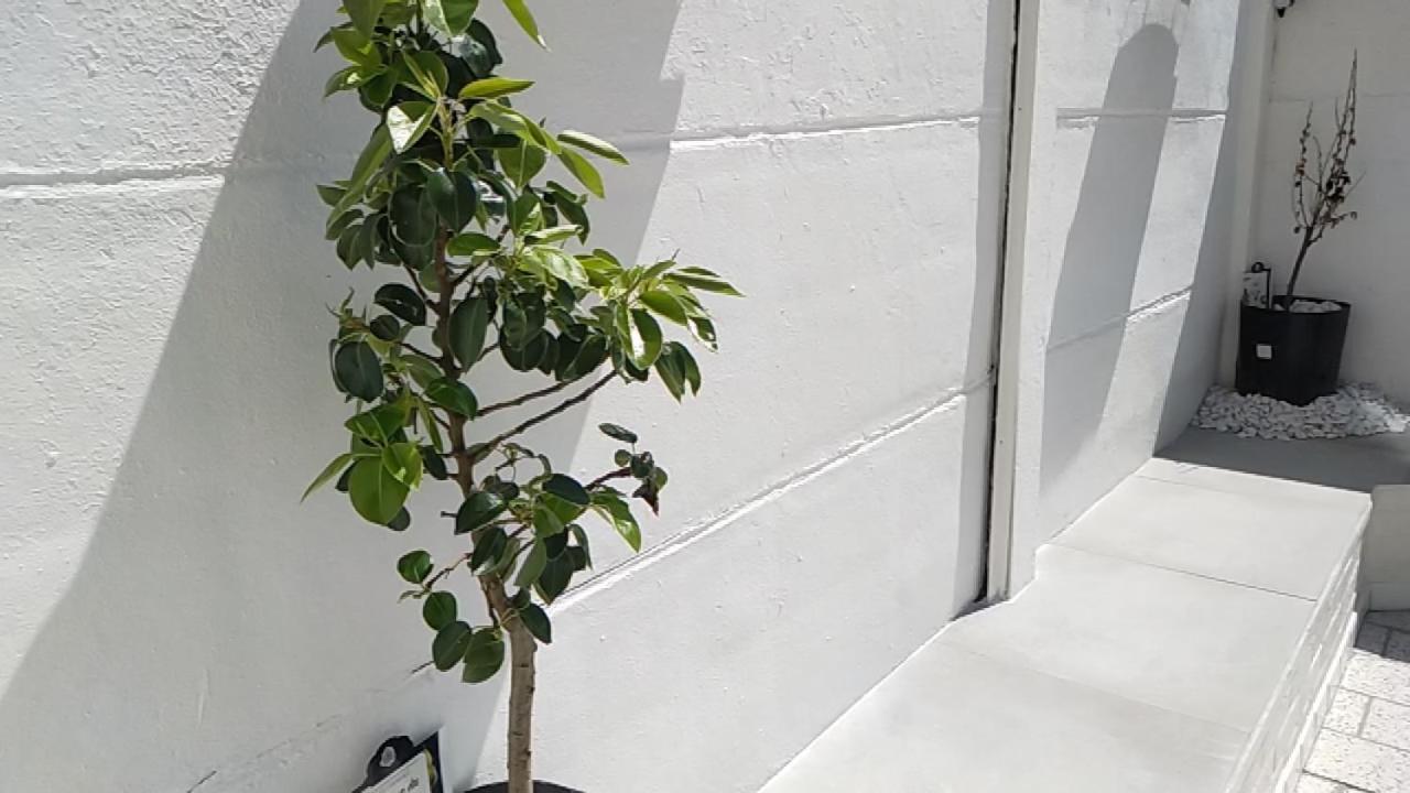 Le 32 Villa Lens Dış mekan fotoğraf